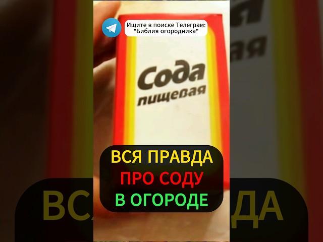 СОДА - Спаситель Вашего ОГОРОДА! СПАСЕТ от Вредителей и Болезней #сода #огород #дача #подкормка #сад