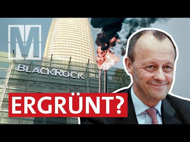 Friedrich Merz und BlackRock: Plötzlich alles grün? - MONITOR