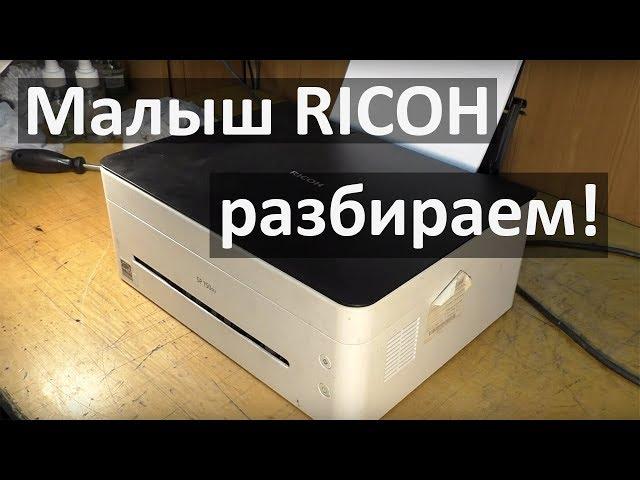 Ricoh SP 150su — разборка, чистка узла термозакрепления