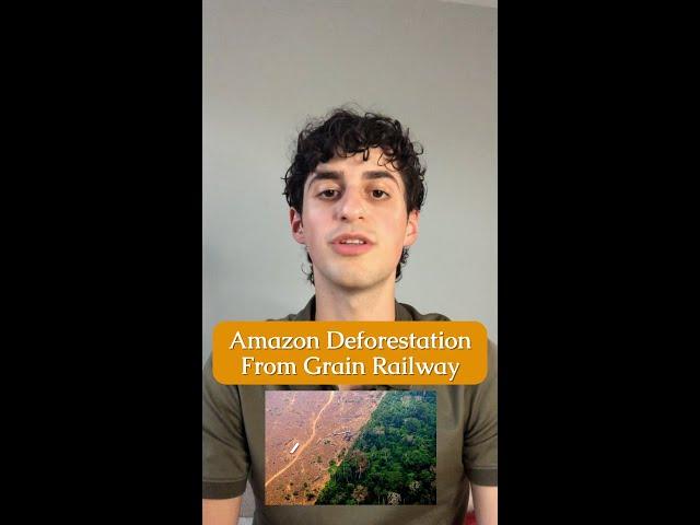 Amazon Deforestation from American Soy and Wheat Conglomerates