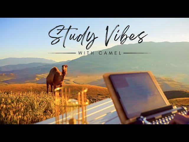  Dreamy Study Escape: Your Ultimate Camel Ranch Study Retreat! Soothing Ranch ASMR | 50/10 Timer