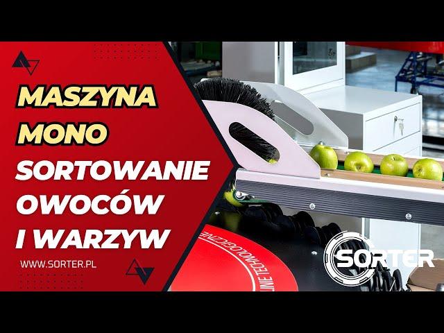 Maszyna MONO do sortowania owoców i warzyw - SORTER • maszyny sortujące • transport technologiczny