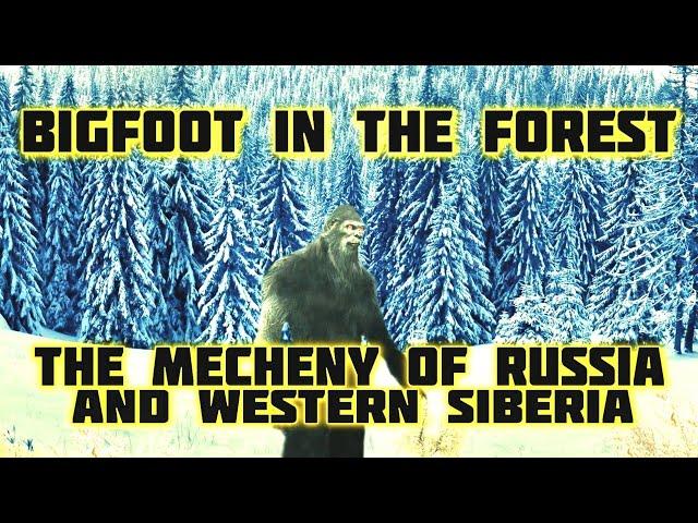 BIGFOOT IN THE FOREST - THE MECHENY