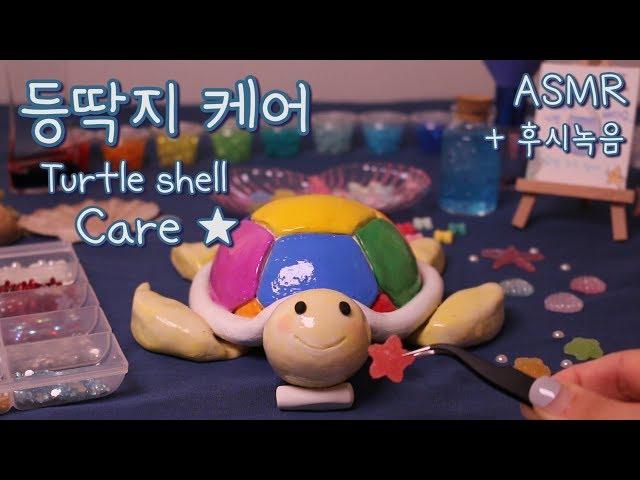 Eng Sub / ASMR Turtle shell care  / Cleansing / Gems / Additional Recording