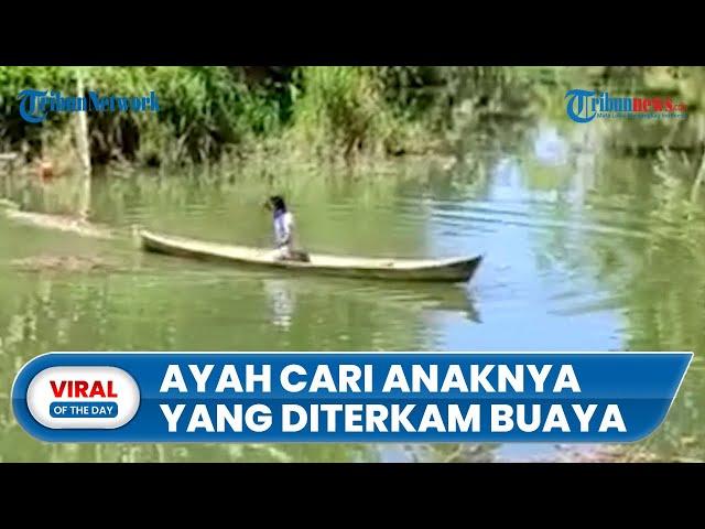 Video Perjuangan Ayah saat Cari Anaknya yang Hilang Diterkam Buaya, Warga Tak Berani Masuk Sungai