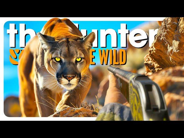 I hunted EVERY CAT in the game! | theHunter: Call of the Wild