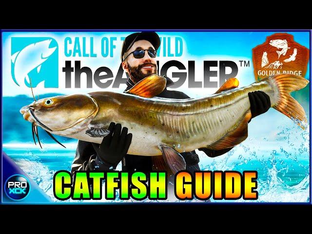 Channel Catfish HOTSPOT GUIDE! | How to Catch a Diamond Channel Catfish - Call of the Wild theAngler