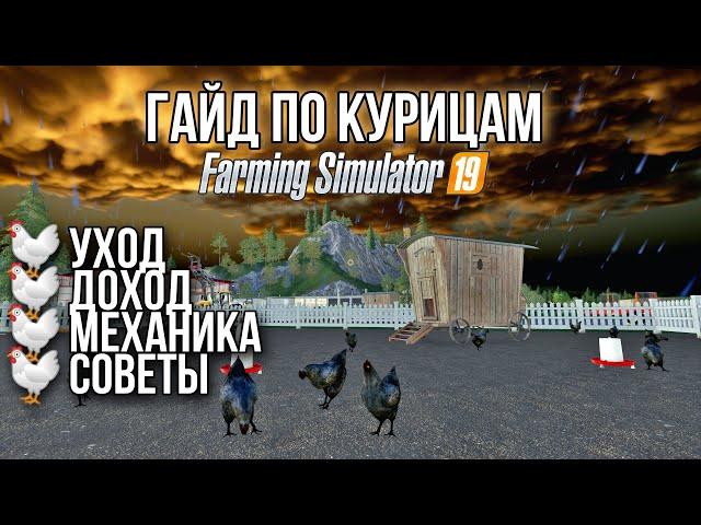 Гайд по курицам: уход, доход, механика, советы | Farming Simulator 19