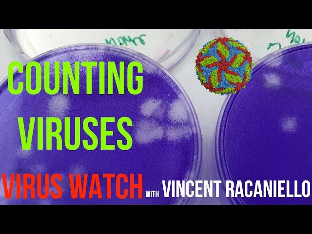 Virus Watch: Counting Viruses