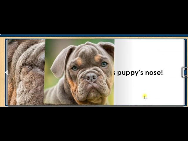 WHO'S NOSE? animal story for kids, children, ESL, elementary EASY READ ALONG AUDIO STORY BOOK
