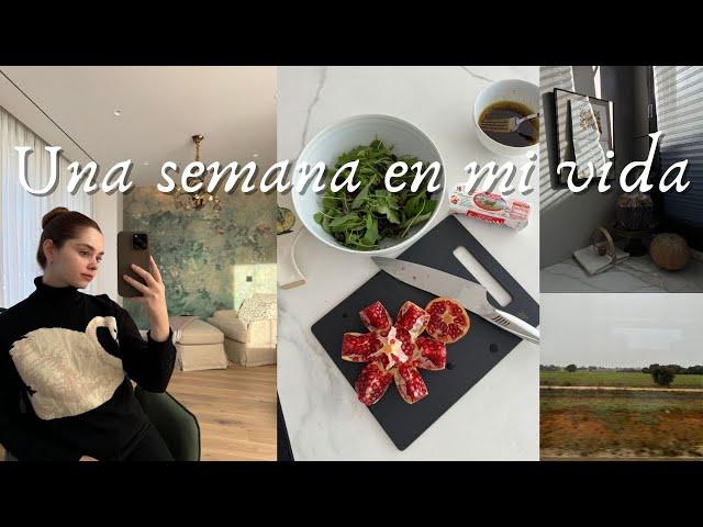 Una semana en mi vida | trabajo, recetas y organización