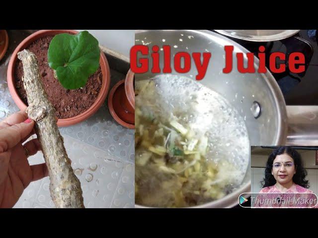 How to make Giloy Juice at home ll Benefits of Giloy ll