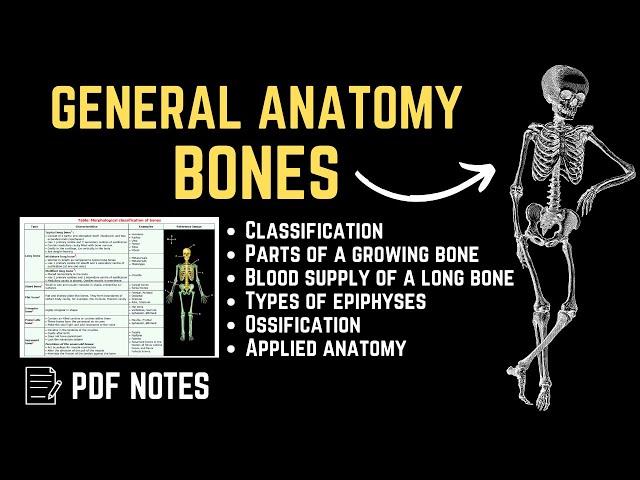 General Anatomy - Bones | For PDF Notes, Check Description Box