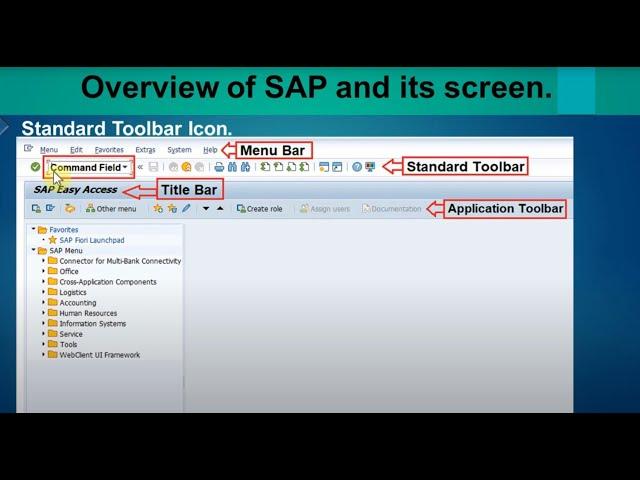 01) SAP Screen Navigation.