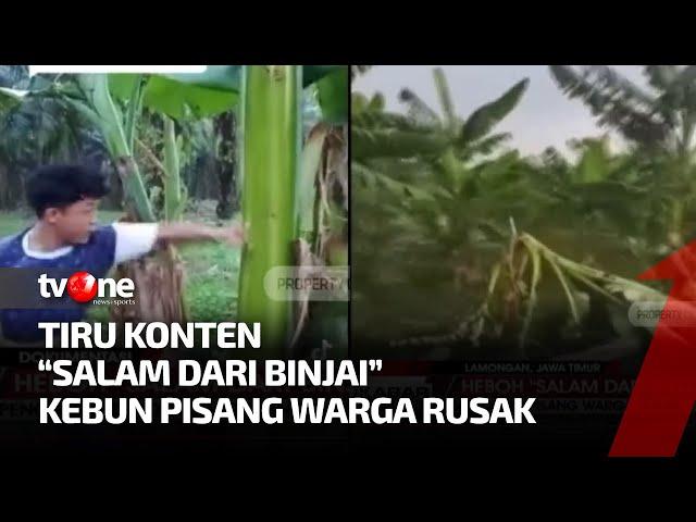 Tiru Konten "Salam Dari Binjai" Anak-anak Rusak Pohon Pisang | Kabar petang tvOne