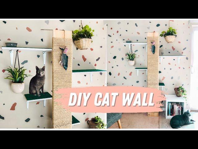 How To Build A Cat Wall | Renter Friendly Cat Shelves w/ Scratch Post | Small Beige Apartment