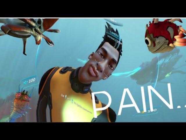 Subnautica pain