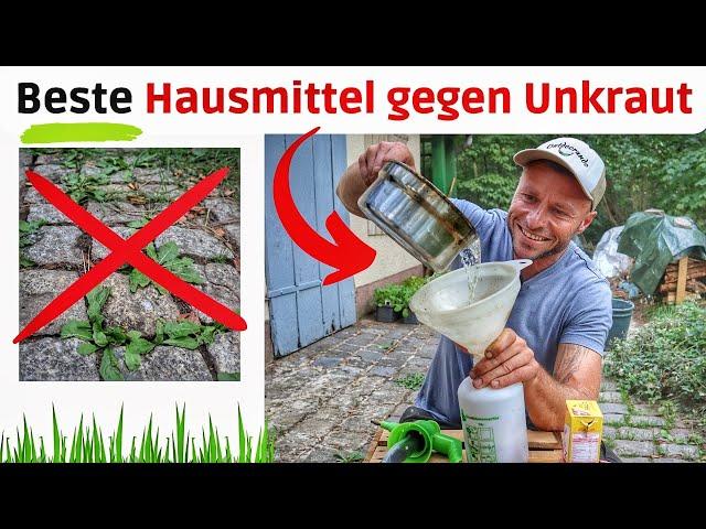 Unkrautvernichter selber herstellen  ANLEITUNG I Unkraut mit Hausmitteln bekämpfen.