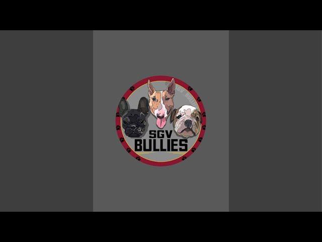 SGV BULLIESTV is live!