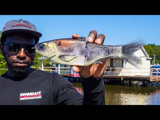 Fishing GIANT Swimbaits On Docks with Geoff Hamilton