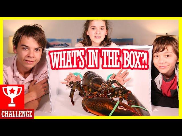 WHAT'S IN THE BOX CHALLENGE! WITH LIVE ANIMALS!  |  KITTIESMAMA