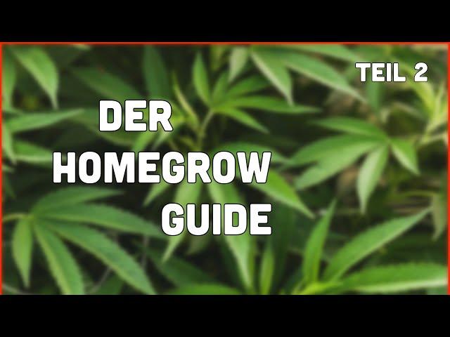 DER INDOOR-GROW GUIDE 2024 - Folge 2 - DIE RICHTIGE GROWBOX