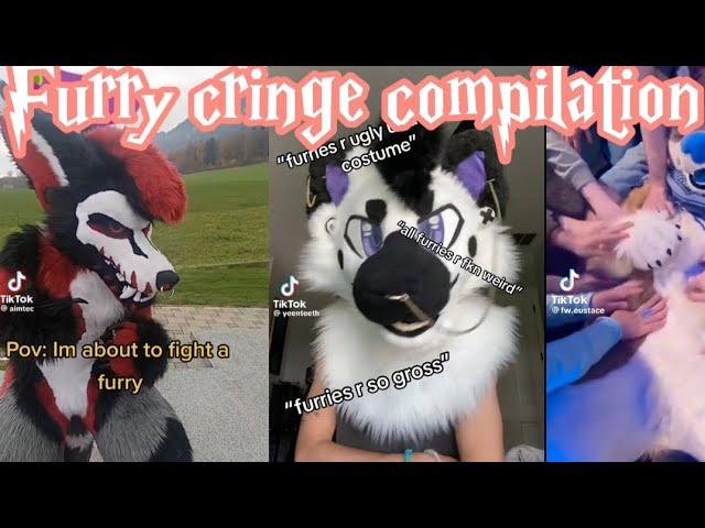 Tiktok furry Cringe Compilation #1