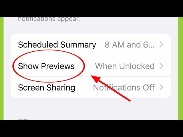 iPhone | Notification Show Previews Settings 14 Pro