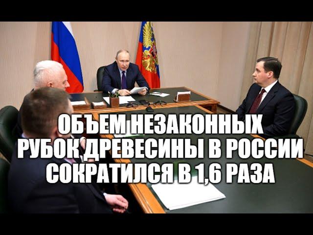 Президент России Владимир Путин провел совещание по вопросам развития лесной промышленности [ 2023 ]