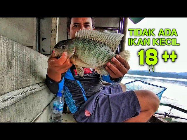 Mancing Ikan Dewasa Di Lapak 18 ++ - Mancing Wadaslintang