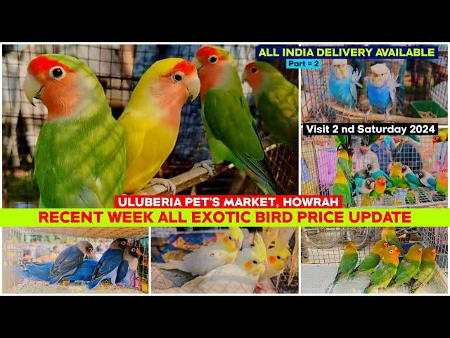 Uluberia Pet Market | Recent Week All Exotic Bird Price Update | 02/03/2024 | Cheapest Bird Market