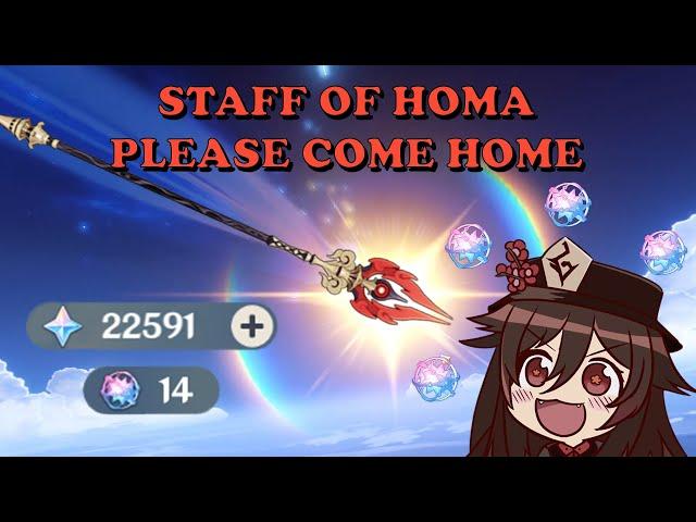 Hu Tao is getting HOMA or going HOMELESS | STAFF OF HOMA GACHA WISHES | Genshin Impact v3.4