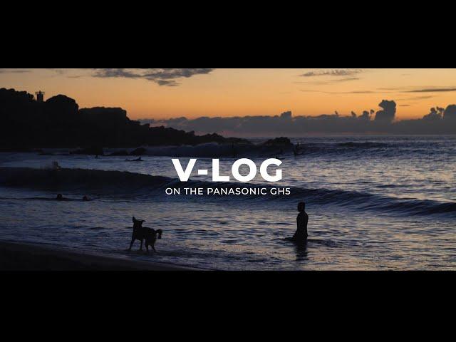 Panasonic GH5, Why I Don’t Shoot V-Log Anymore