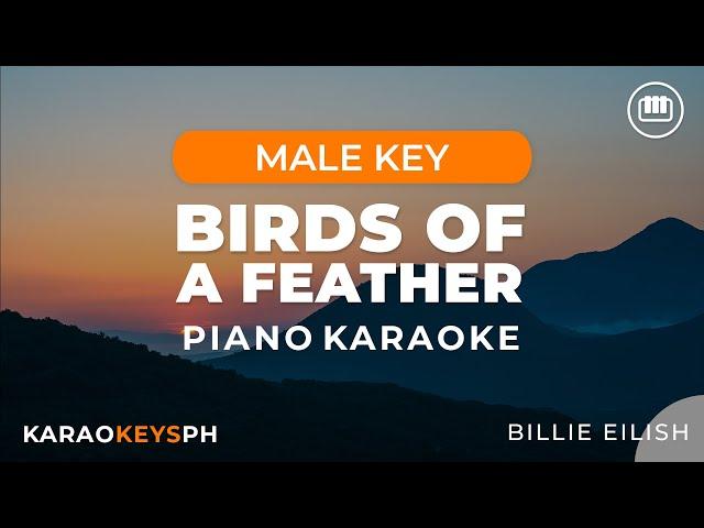 Birds Of A Feather - Billie Eilish (Male Key - Piano Karaoke)