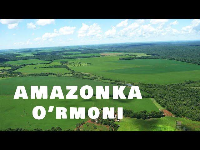 Amazonka O'rmoni / Амазонка Урмони