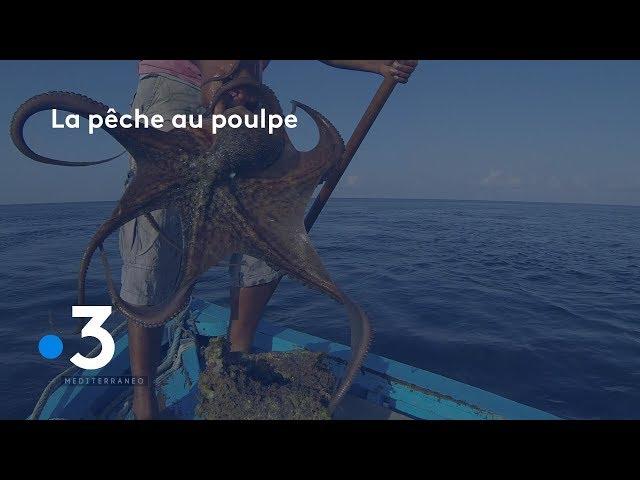 Tunisie : la pêche au poulpe, une tradition ancestrale