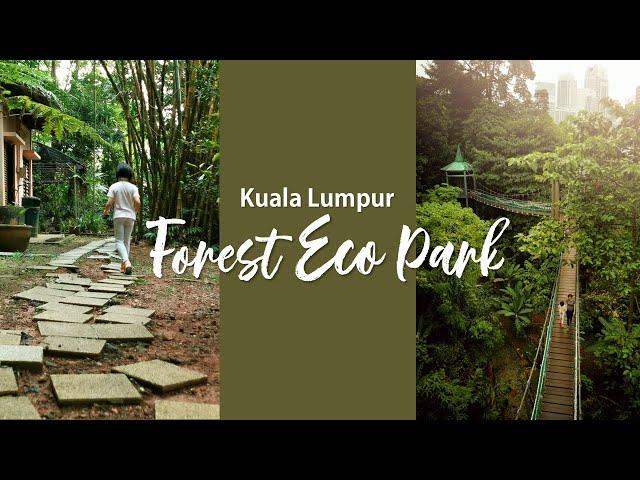 5 Reasons to like KL Forest Eco Park | Canopy Walk | Bukit Nanas KL | Hohem Isteady x