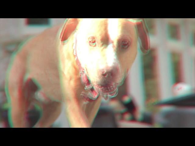 KO | "Beware Of The Dog" Official Video KO-NATION.COM