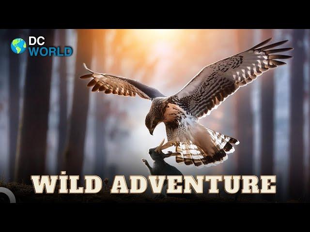 There Is No Escape From This Cruel Claw!  | Wild Ones Episode 23 | Animal Documentary