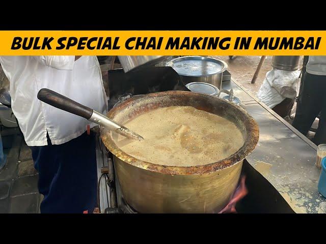 Bulk Special Chai Making in Mumbai | Mumbai Cutting Chai Recipe | Indian Street Food Pure Milk Chai
