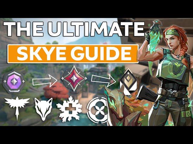 The Ultimate Skye Beginner Guide 2024 | Valorant