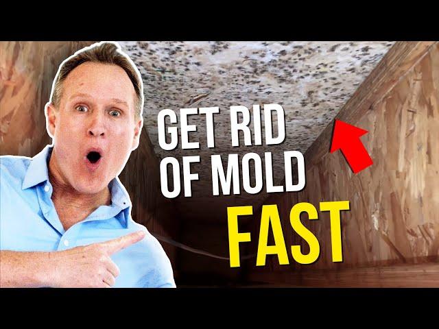 Crawl Space MOLD REMOVAL Tips - Kill MOLD in your crawlspace - Twin Plumbing