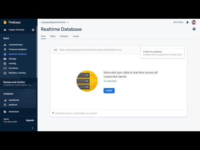 How to delete database in firebase ,disable permanently