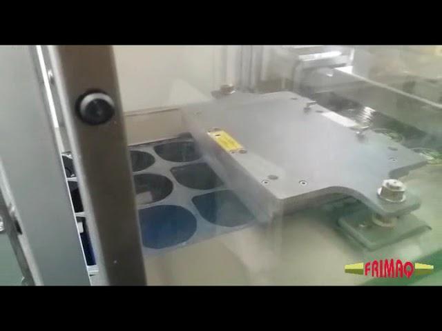 Frimaq Model TFF (Flexible) Thermoformer Automatic Packaging Machine - RAM 1