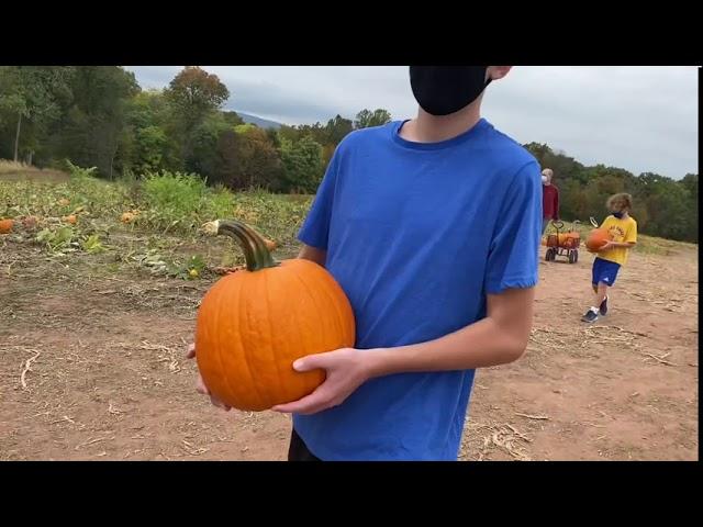 Daniluck Pumpkin Patch 2020