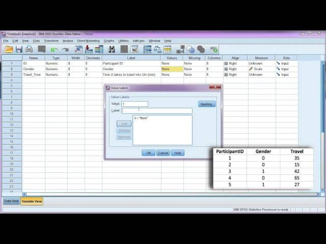 Enter data and define variables in SPSS