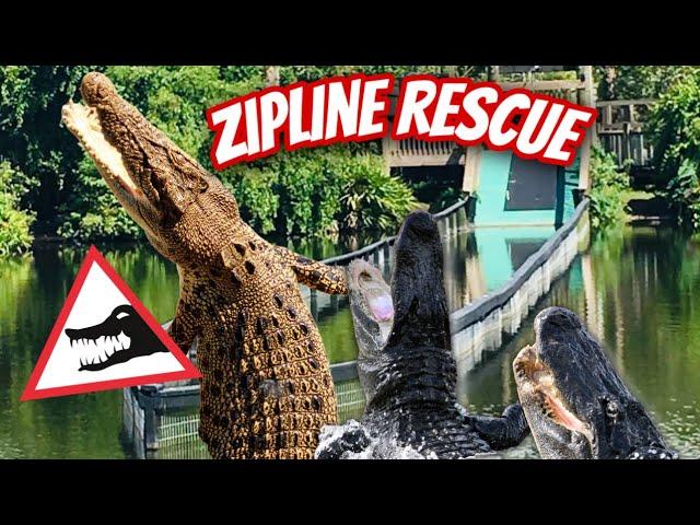 Rescuing an Alligator from the Zipline‼️