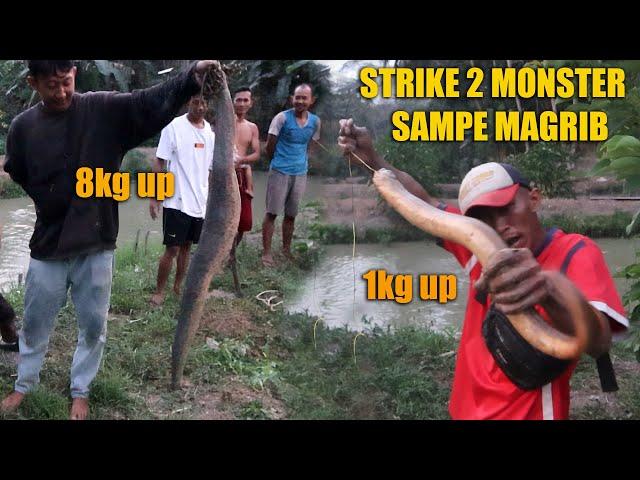 STRIKE BELUT MONSTER & ULAR MONSTER