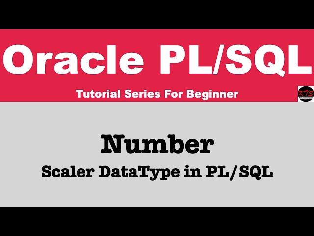 Number data type in oracle | Scaler Data Type