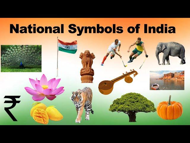 National Symbols of India | National Symbols for kids in English | India National Symbol